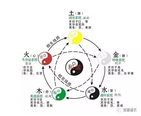 五行缺什麼補什麼|準確計算自己命中缺什么